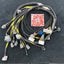 Arnés de motor SPDZ1 OBD2 Budget D & B-Series para Civic e Integra
