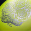 Big Z Passion - 2022 Ledgestone Limited Edition Disc Golf Driver