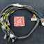 SPDZ1 OBD1 Budget D & B-Series Tucked Engine Harness