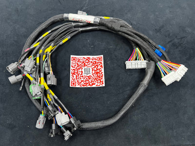 Arnés de motor SPDZ1 OBD1 Budget D & B-Series Tucked