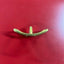5/8" Conway Buckle - Korvel