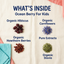 Ocean Berry for Kids - Organic Caffeine-Free Loose Leaf Tea