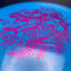 FX-2 (500 Glimmer) - Disque de Golf de Qualité Supérieure