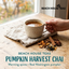 Pumpkin Harvest Chai Tea Blend