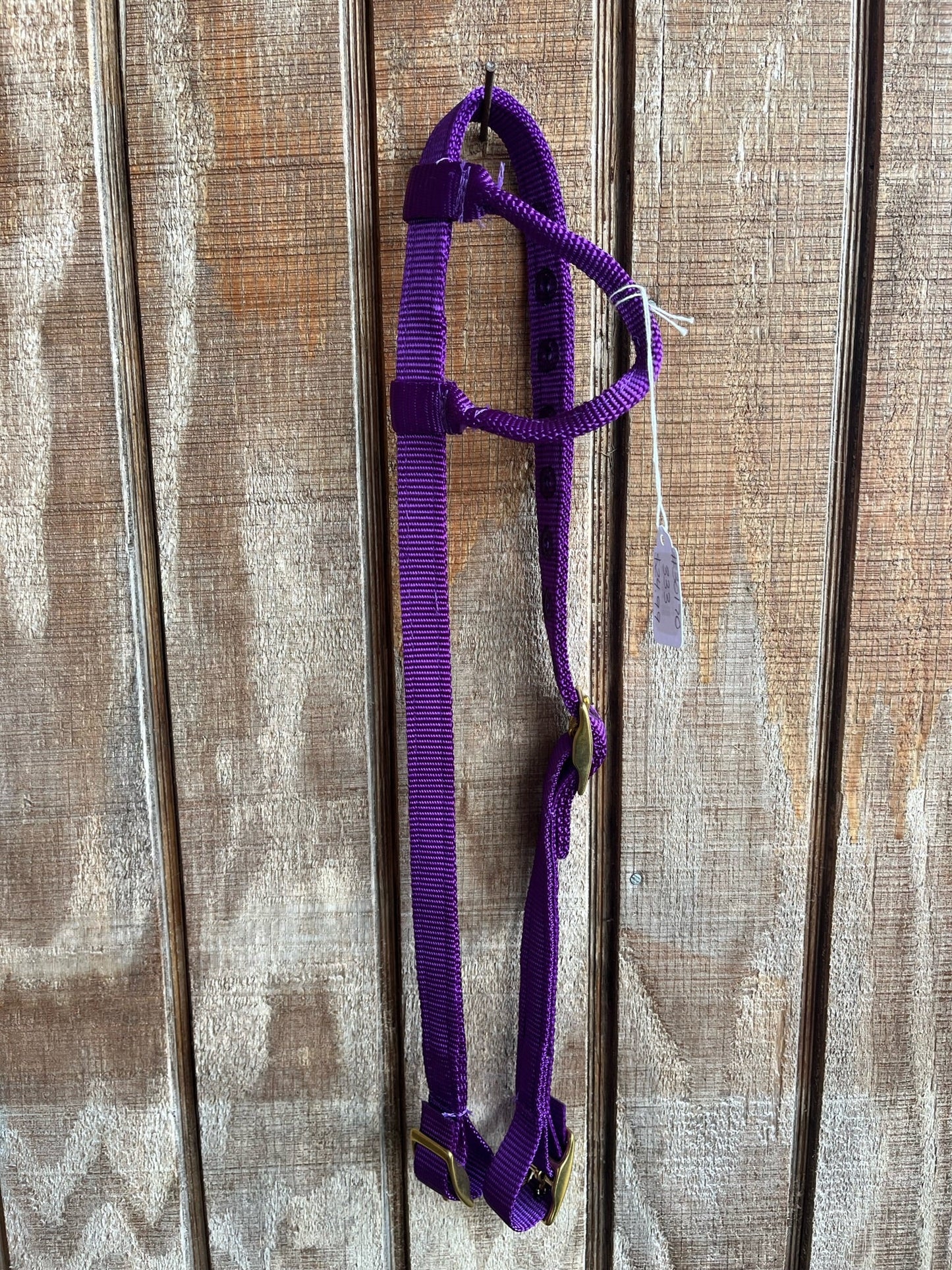 Durable Nylon One-Ear Headstall | L&W Collection - Korvel