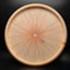 Bravo Copperhead - Artist Series Disc Golf Disc