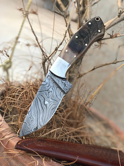 Premium Damascus Steel Hunting Knife with Sheep Horn Handle - Korvel