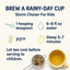 Storm Chaser Organic Loose Leaf Tea for Kids