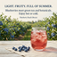 Blueberry Beach Breeze Loose Leaf Tea