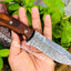 Premium Damascus Steel Hunting Knife with Rosewood Handle - Korvel
