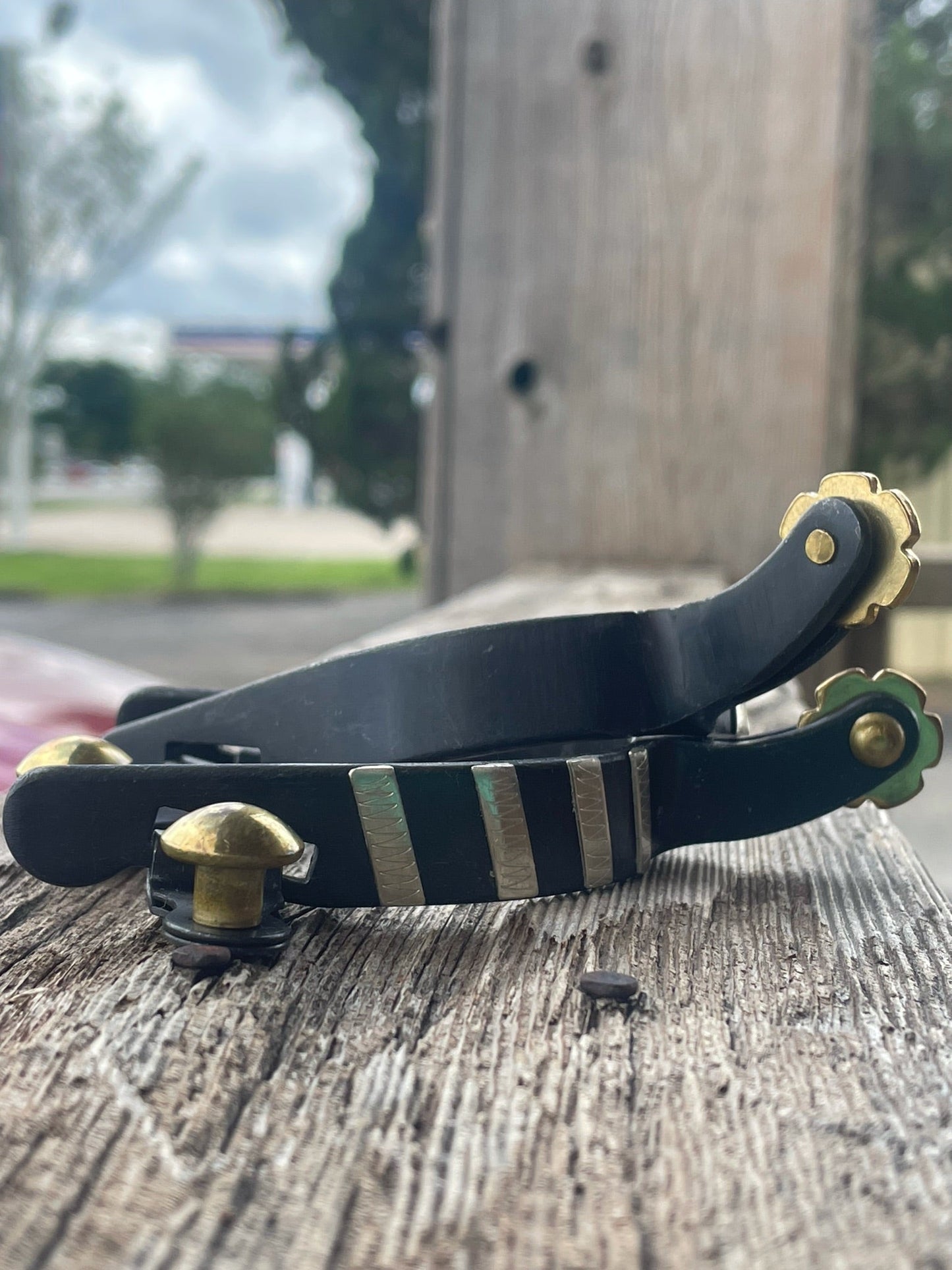 Junior Black Spurs | Professional's Choice - Korvel
