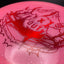 Metal Flake Glow C-Blend Pharaoh Disc - 2022 Edition