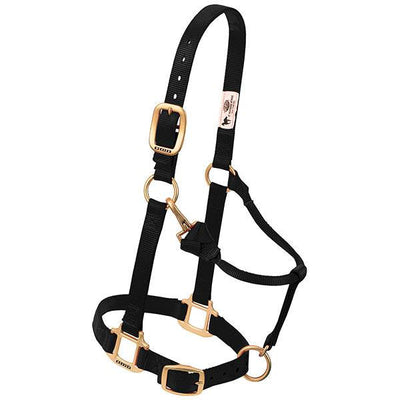 Adjustable Nylon Horse Halter | Weaver Quality - Korvel