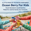 Ocean Berry for Kids - Organic Caffeine-Free Loose Leaf Tea