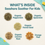Seashore Soother Artisan Tea for Kids