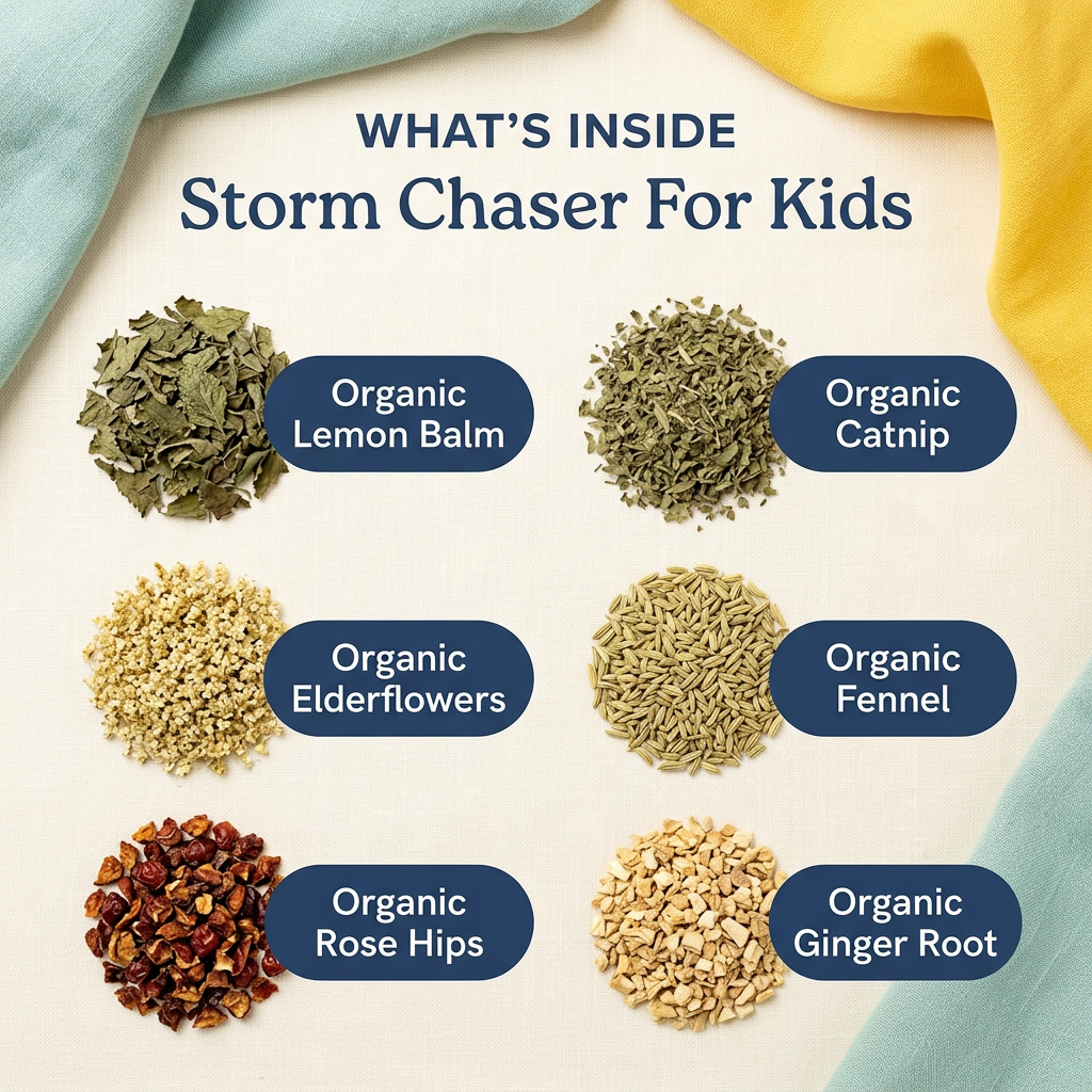 Storm Chaser Organic Loose Leaf Tea for Kids
