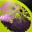 Halo S-Blend Czar - Limited Edition - RADioactive Man Series - Korvel