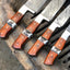 Exquisite Handmade Damascus Steel Knife Collection - Korvel