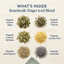 Boardwalk Zinger Iced Blend - Herbal Iced Tea