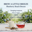 Blueberry Beach Breeze Loose Leaf Tea