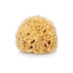 Éponge de bain en soie marine de The Sponge Company pour bébés
