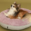Cozy Light Pink Donut Dog Bed for Ultimate Comfort