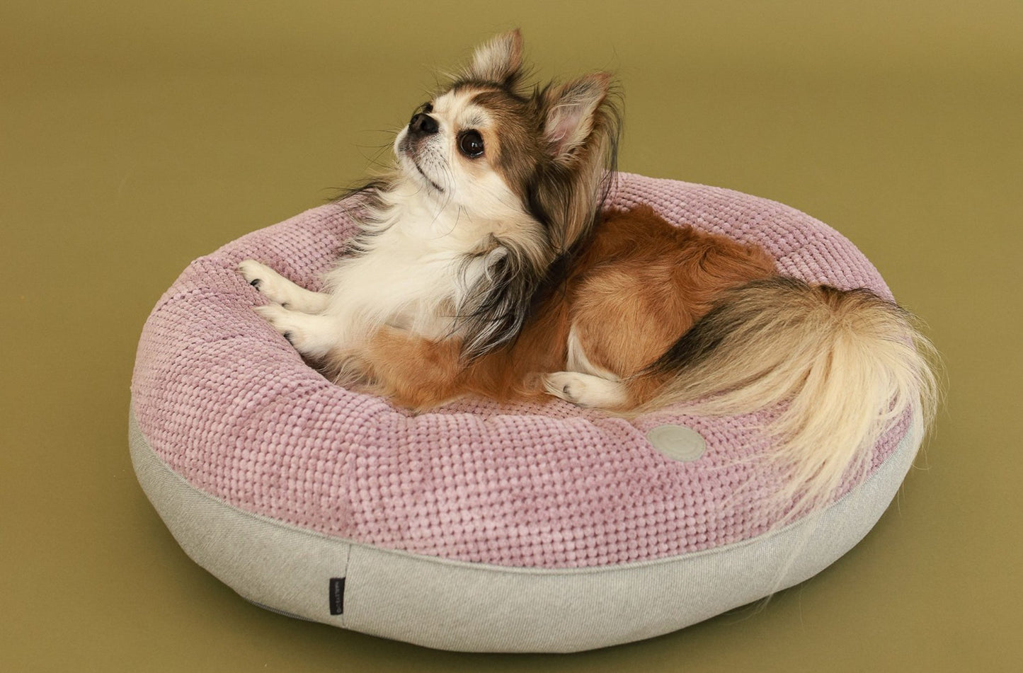 Cozy Light Pink Donut Dog Bed for Ultimate Comfort