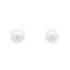 Natural Freshwater Pearl Stud Earrings in 10KT White Gold