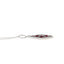.58ct Ruby and Diamond Pendant in 14KT White Gold