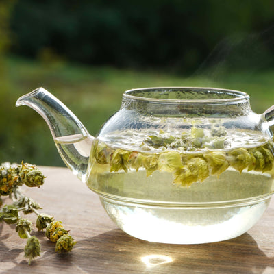 Greek Mountain Tea with Sage & Lemon Verbena – Immune-Boosting Herbal Blend