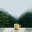 Greek Mountain Tea with Sage & Lemon Verbena – Immune-Boosting Herbal Blend