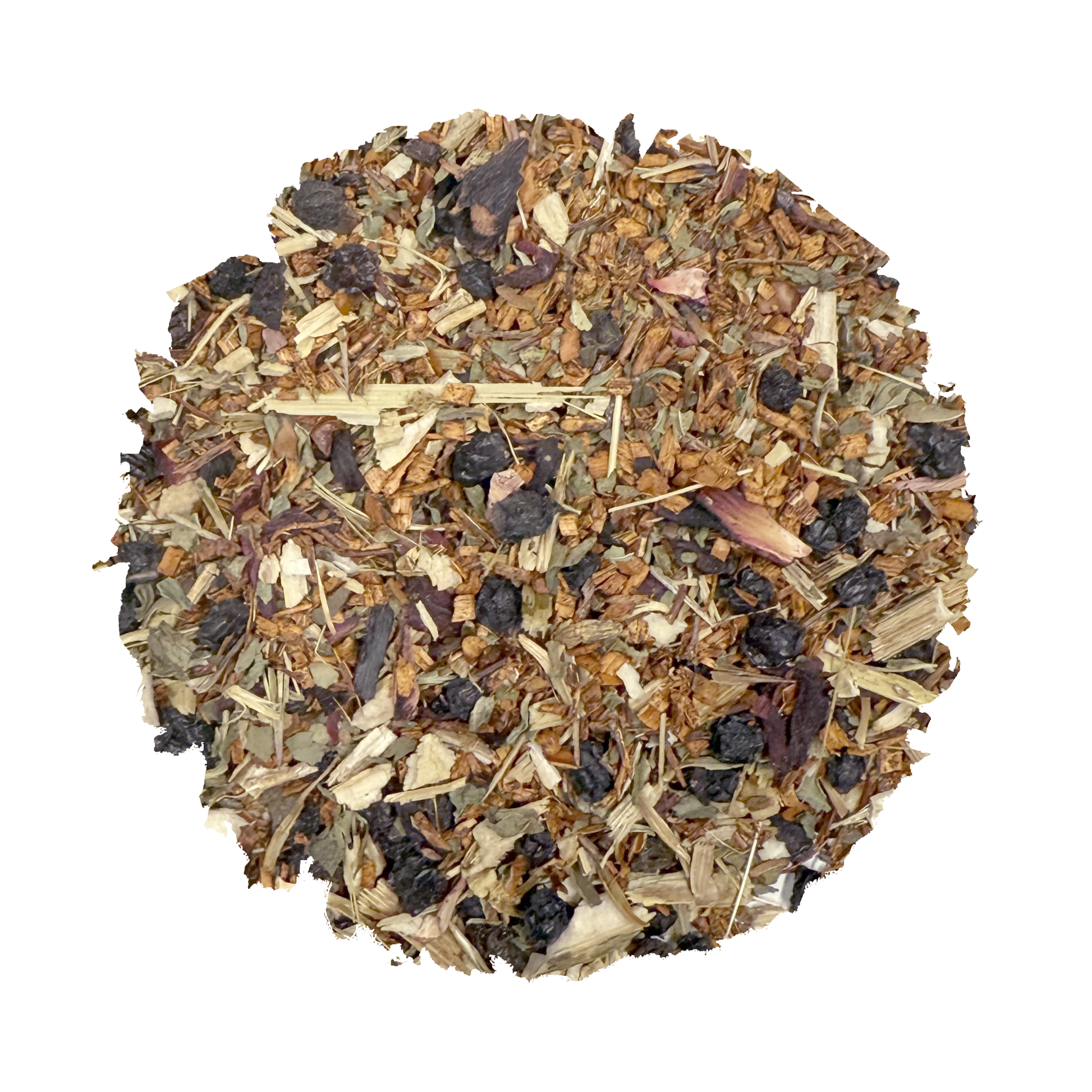 Beach Wellness: Immunity - Korvel