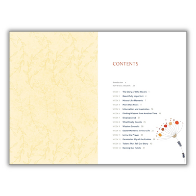 Family Bible Journey: 52 Weeks of Faith and Connection (Spiral Bound) - Korvel