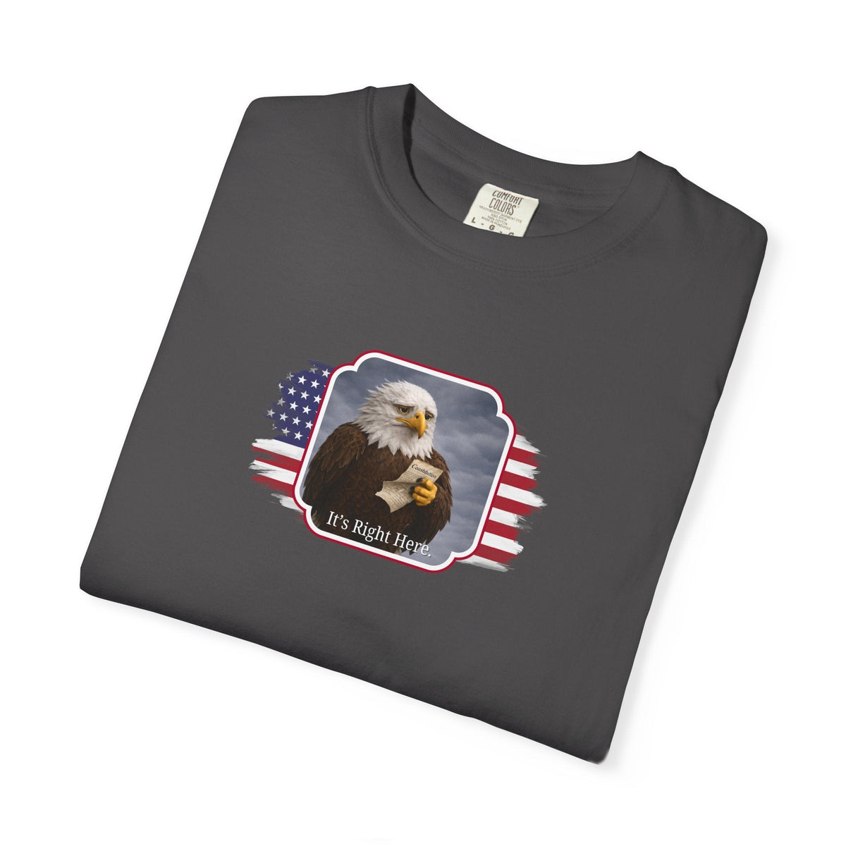 It’s Right Here Political Parody T-Shirt