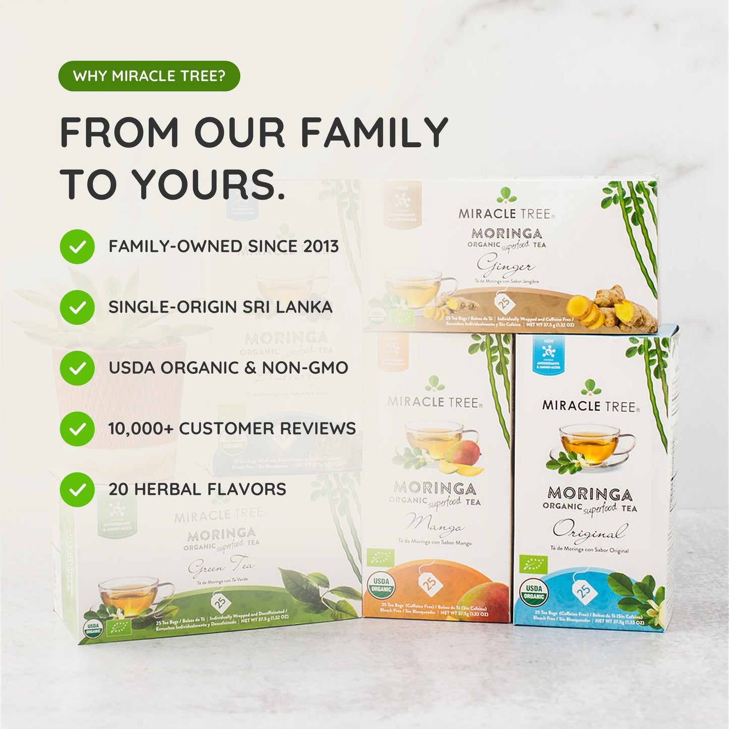 Organic Moringa Tea with Rooibos - 25 Wrapped Tea Bags