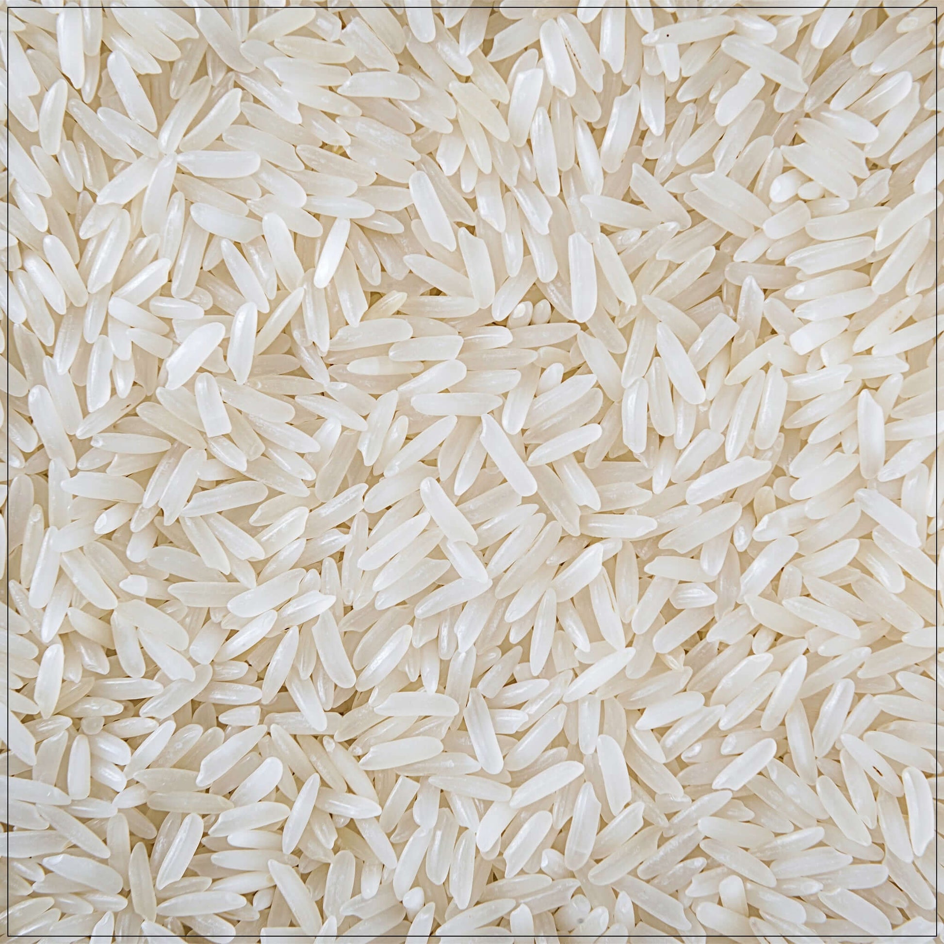 Jasmine Rice - Korvel