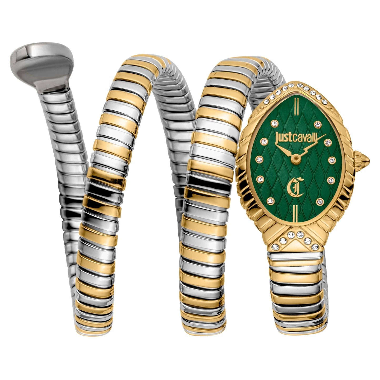 Montre Specchio Snake pour femme Just Cavalli