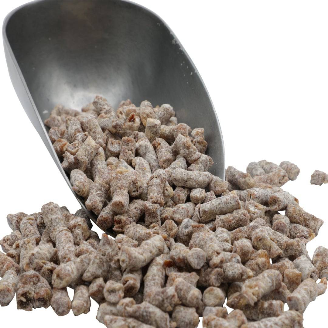 Chewy Date & Oat Snack Bites - Korvel