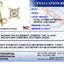 Boucles d'oreilles en diamant taille princesse certifiées IGI 1/2 Cttw en or jaune 14K