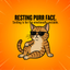 Catsplaining the Year – 2026 Funny Cat Calendar