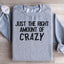 Just The Right Amount Of Crazy Sweatshirt