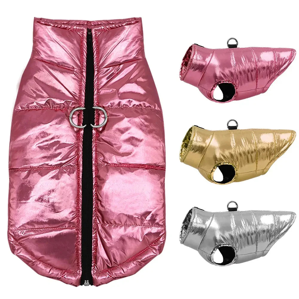 Veste d'hiver imperméable pour petits chiens