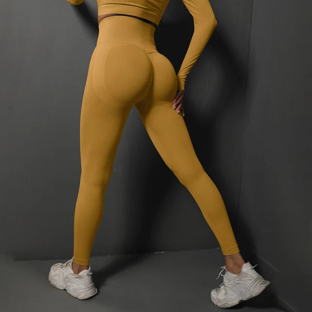Leggings de gym sans couture premium pour femmes