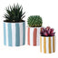 Ensemble de 3 pots en céramique ludiques