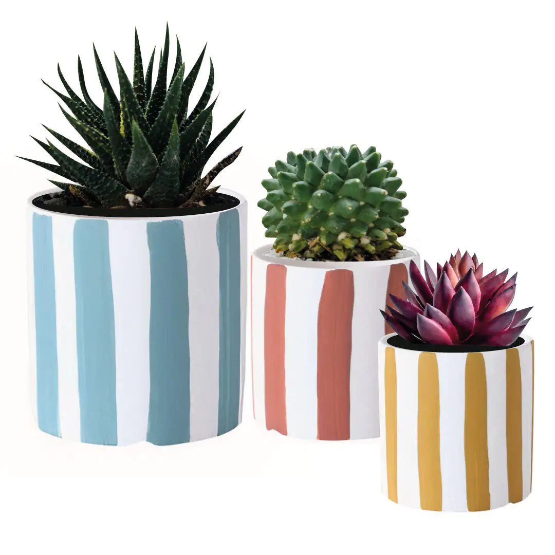 Ensemble de 3 pots en céramique ludiques