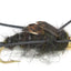 Kaufmann's Premium Black Stonefly Nymph Set - 10 Bead Head Rubber Legs Wet Flies - Assorted Hook Sizes 4 to 12 - Korvel
