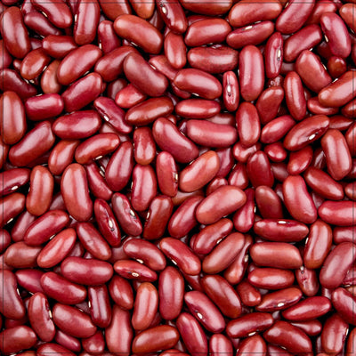 Premium Kidney Beans - Versatile and Nutritious Legumes