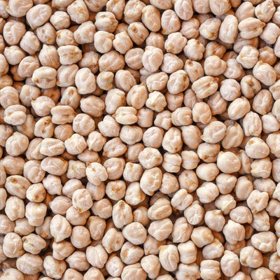 Garbanzos Hasata (Carnero) 1 kg (35,3 oz) – Garbanzos secos premium