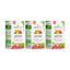 Organic Moringa Tea with Watermelon Flavor