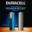 Duracell Coppertop AA Alkaline Batteries